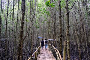 A Trip Through Banyuwangi, Bali’s Overlooked Neighbour