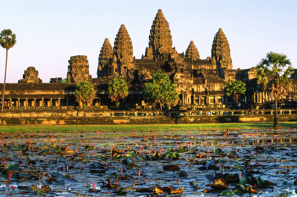 Angkor Wat temple and river with lotus flowers