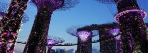 banner-singapore-1