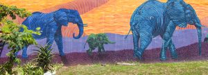 A Backpacker’s Guide to South Africa