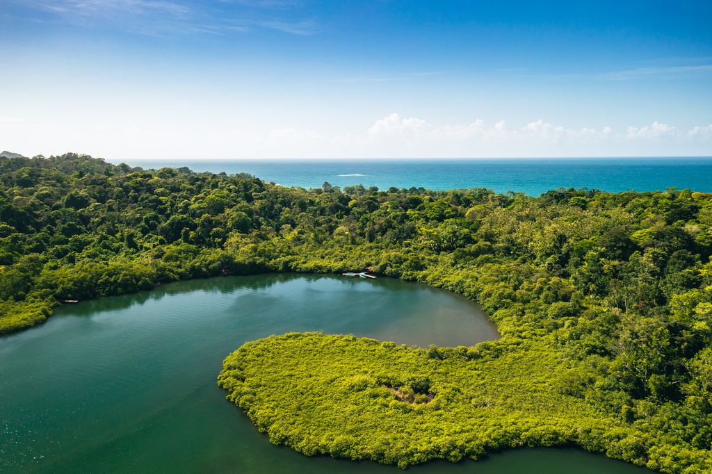 Aerial view of an island with lush greenery and surrounded by waters in Bocas del Toro, Panama.