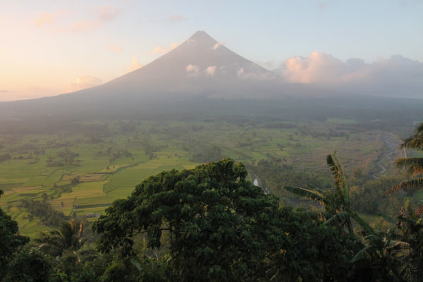 bicol