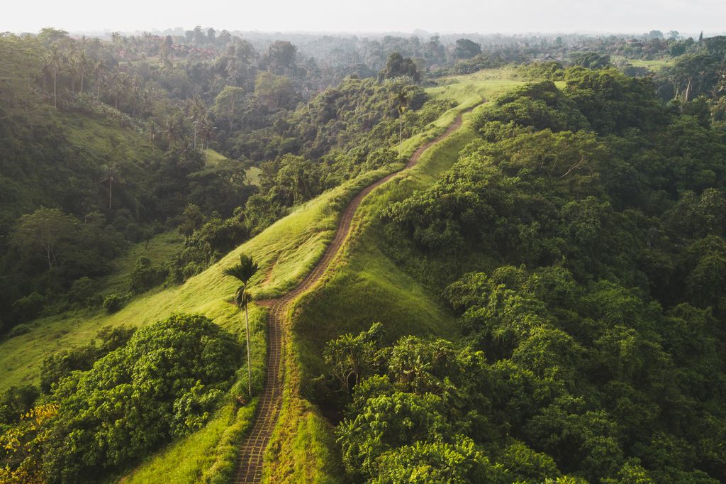 Campuhan Ridge Walk in Ubud, Bali, Indonesia.
