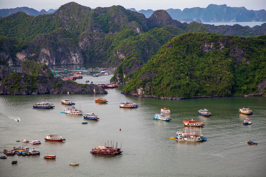 An aerial view of a bay with boats at Cat Ba Island, Vietnam.