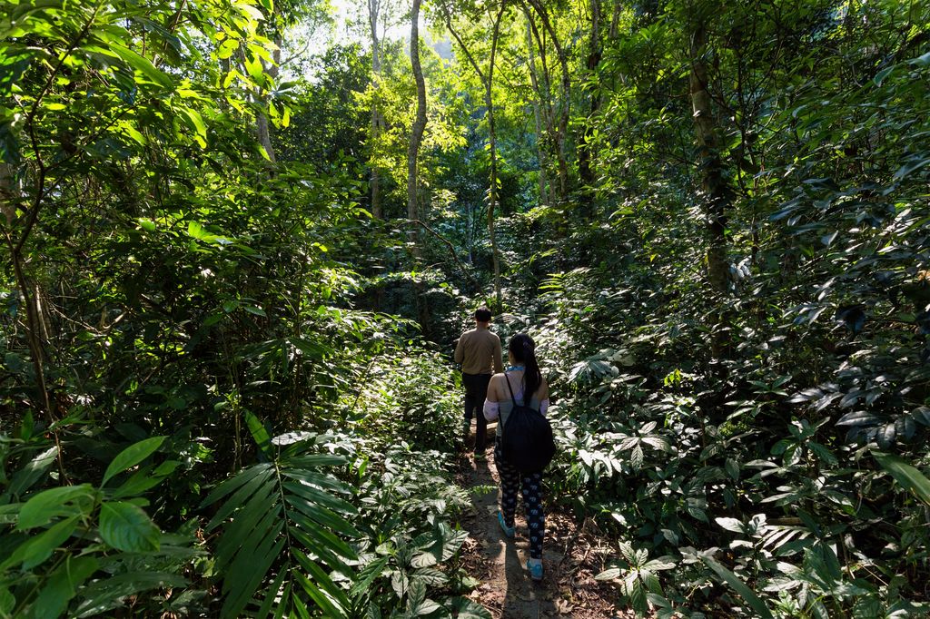 Two trekkers hiking at the dense forest of Cat Ba National Park in Vietnam.