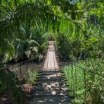 A suspended bridge in a rainforest in Costa Rica
