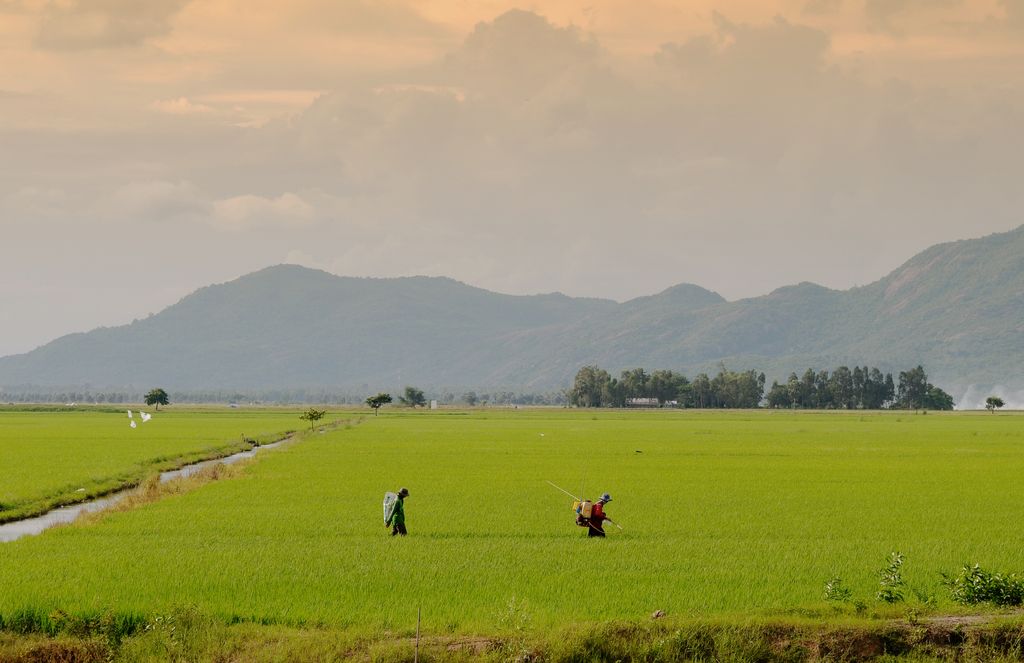 Two farmers working in a paddy field with the clouds and mountains in the background.
