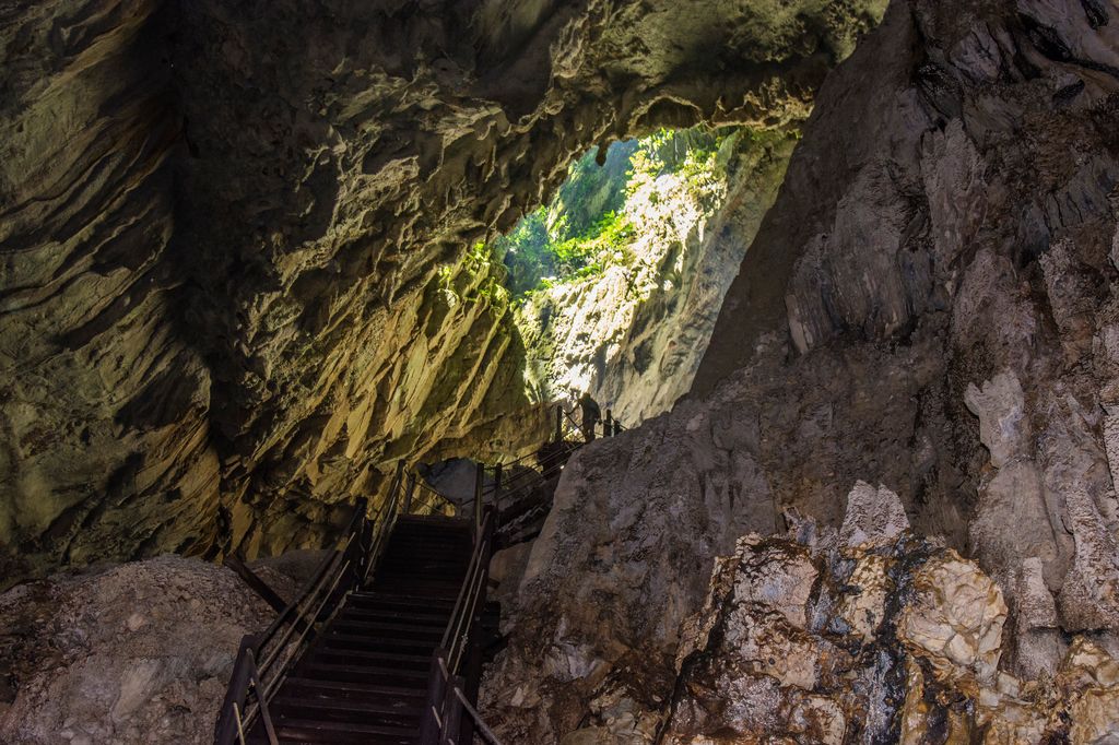 The opening of a cave from the inside at Gunung Mulu National Park in Malaysia.
