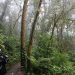 A person in a rain jacket stands on a forest trail surrounded by dense greenery and mist-covered trees in Monteverde Cloud Forest, Costa Rica.