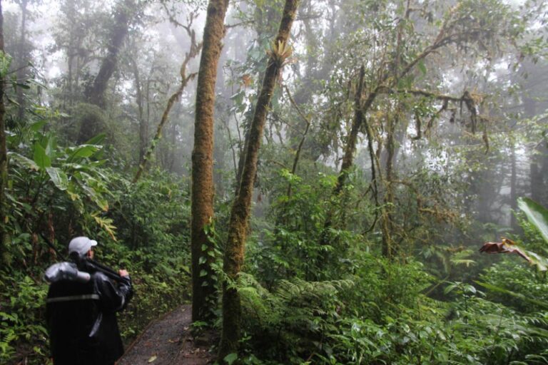 A person in a rain jacket stands on a forest trail surrounded by dense greenery and mist-covered trees in Monteverde Cloud Forest, Costa Rica.