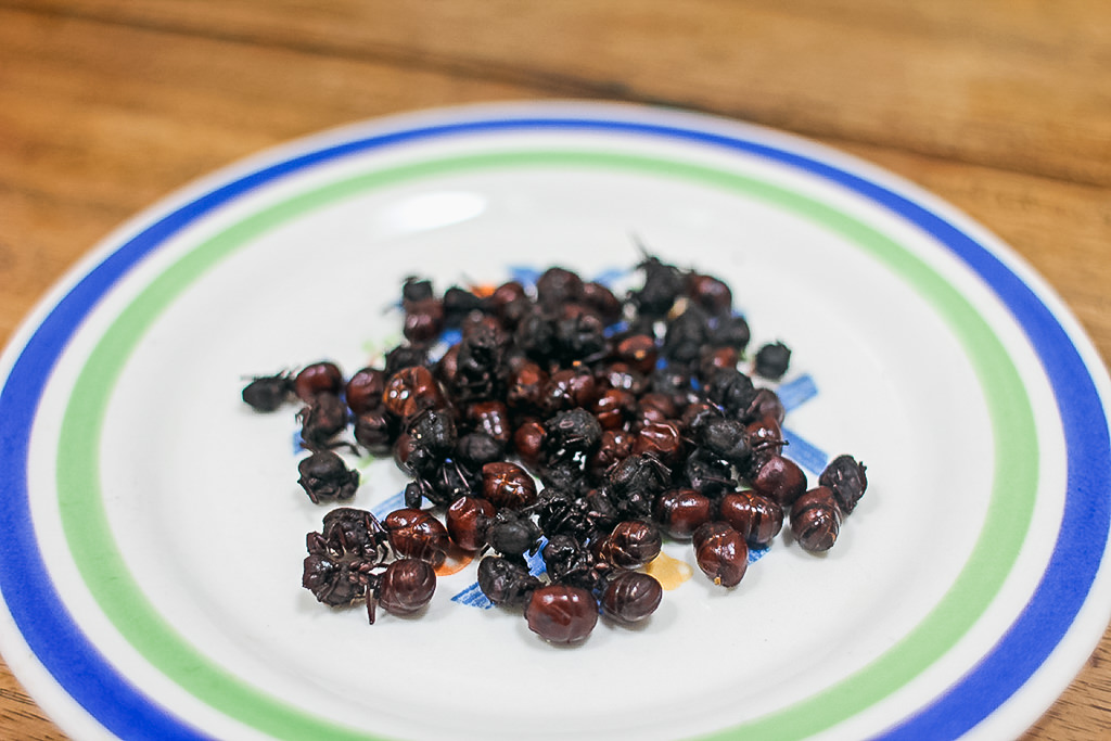 Many Hormigas Culonas or "big ass ants" on a plate
