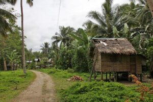 When A Filipino Family Invited Me for Dinner, Songs and Coconut Wine