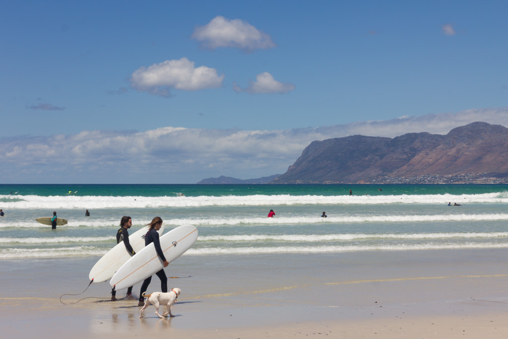 Surfers walking along the beach in Simon's Town, followed by a dog