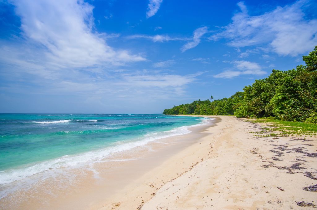 An empty beach and blue-green waters and blue sky at Isla Zapatilla in Bocas del Toro.