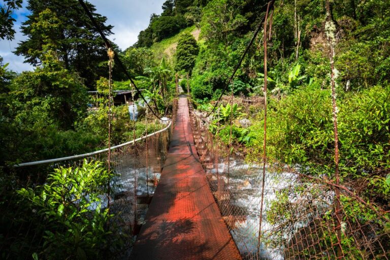 A bridge at a hiking trail in Boquete, Panama.