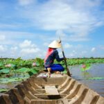 A person rowing a boat on a lotus flower pond in Vietnam.