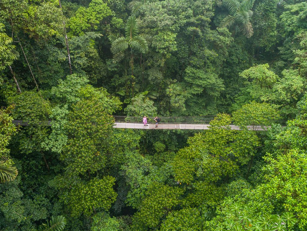 An aerial view of two people walking on a Mistico Arenal Hanging Bridge in Costa Rica