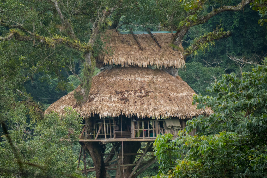 A treehouse in a forest in Laos.