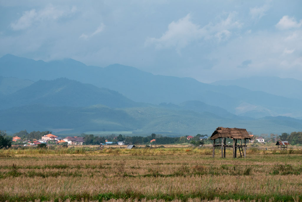 Plant field with shed in Luang Namtha, Laos with houses and mountains in the background.