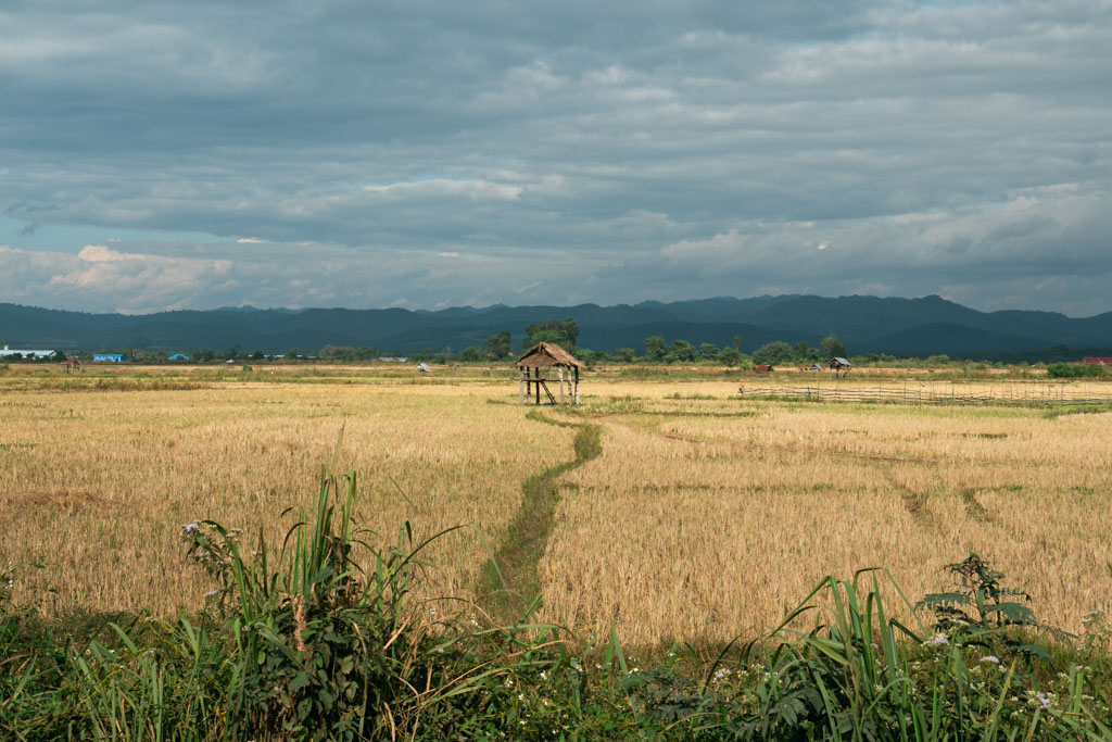Fields in Luang Namtha, Laos.