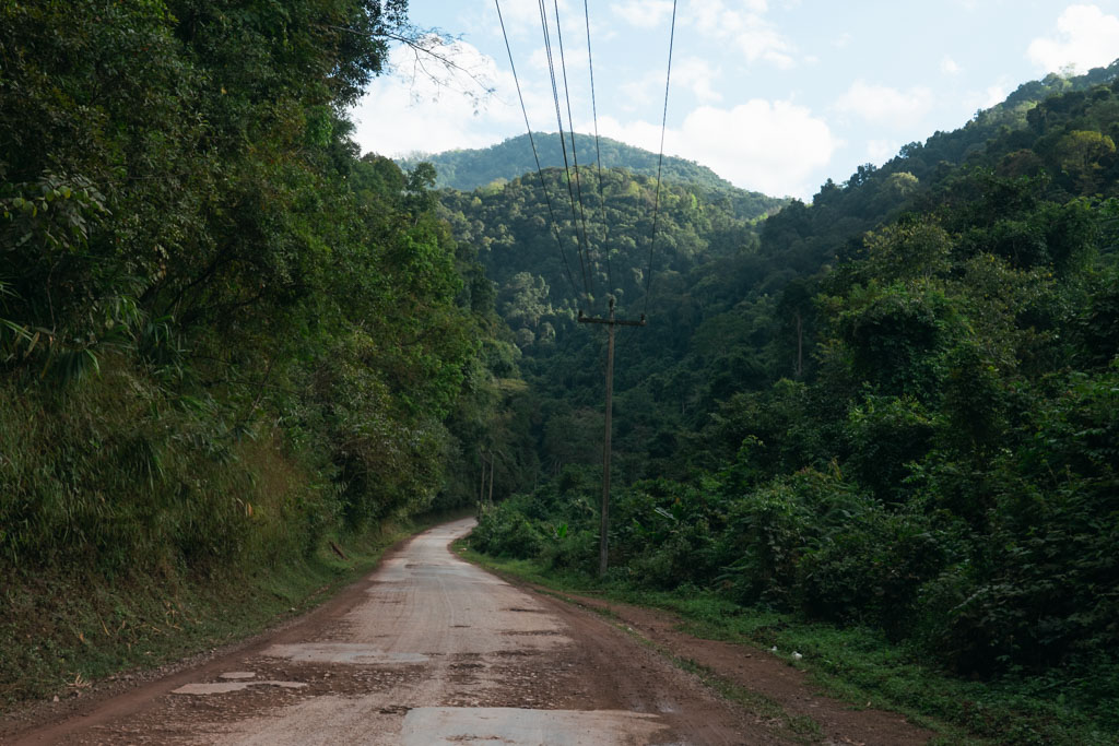 An unpaved road surrounded by plants and trees in Luang Namtha, Laos.