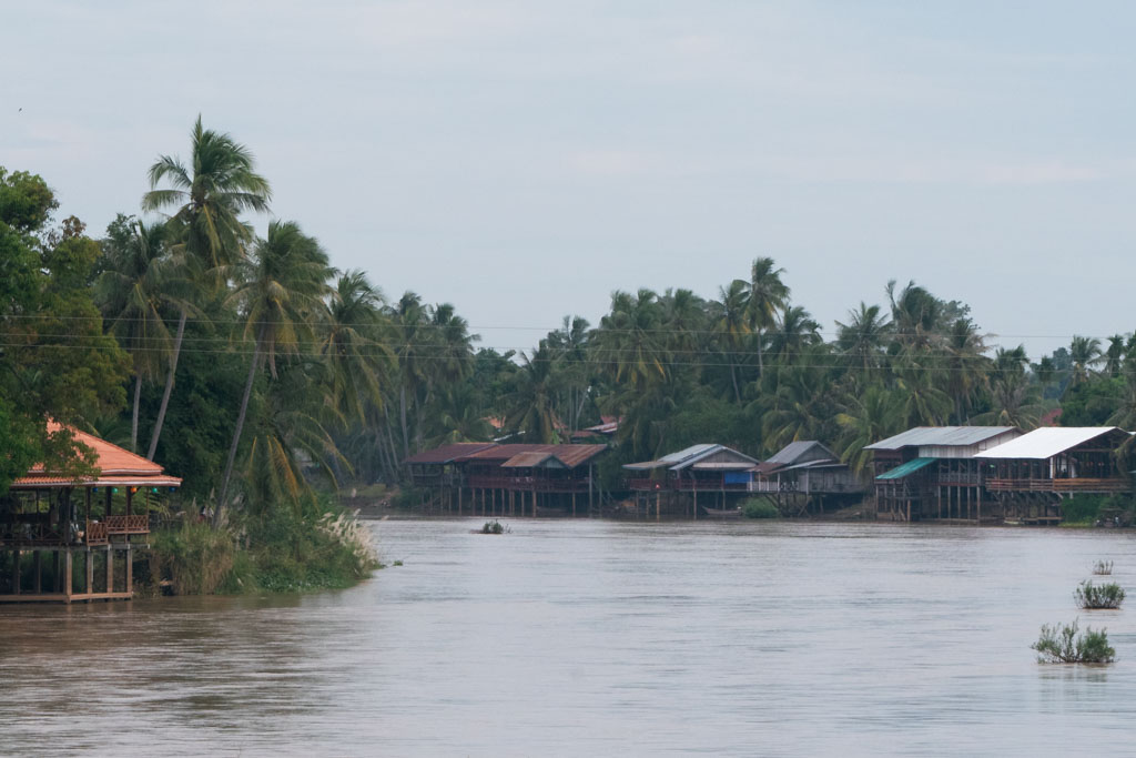 A river surrounded by house structures and palm trees in Laos.
