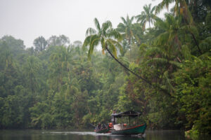 Trekking the Cardamom Mountains in Cambodia