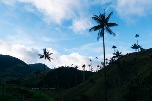 Guide To Salento, Filandia & Salamina (To See The Epic Palm Trees)