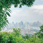 Panama City in the distance.