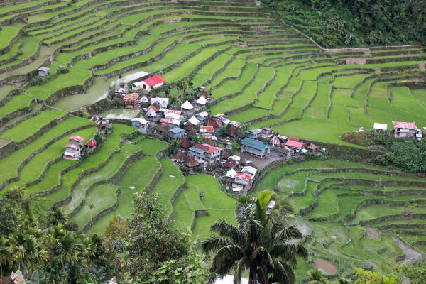 philippines_rice_terraces_batad