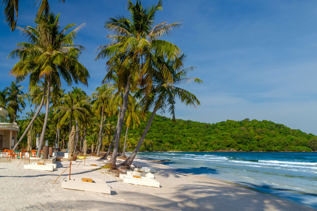 Palm trees on the beach and the sea in Phu Quoc.