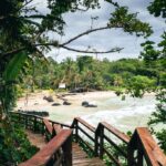 Wooden stair path surrounded by trees to the Red Frog Beach in Bastimentos Island, Bocas del Toro, Panama.