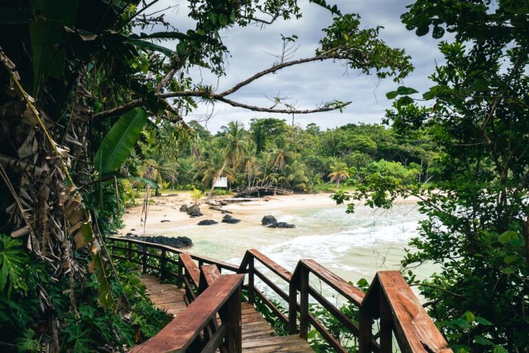 Wooden stair path surrounded by trees to the Red Frog Beach in Bastimentos Island, Bocas del Toro, Panama.
