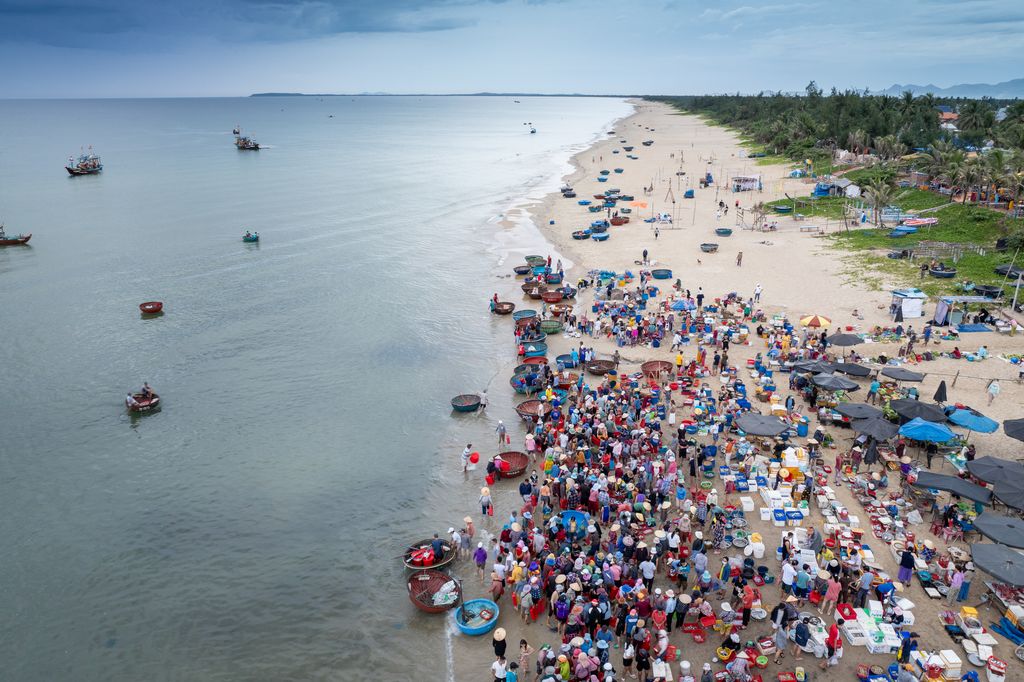 An aerial view of a fish market at the beach in Tam Ky, Vietnam.