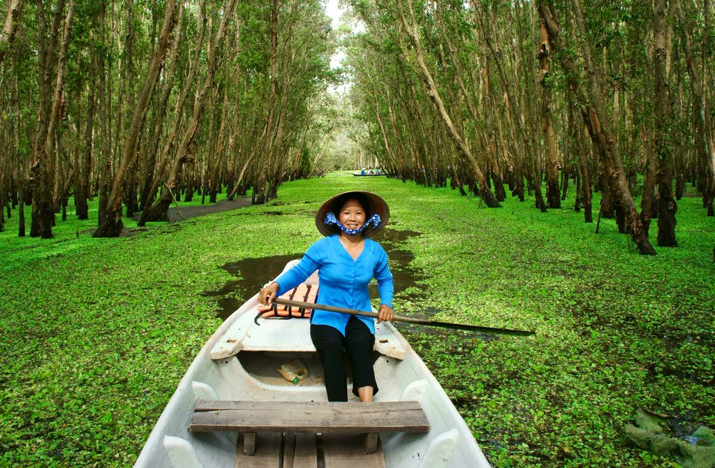 A woman riding a boat on a mangrove forest stream.