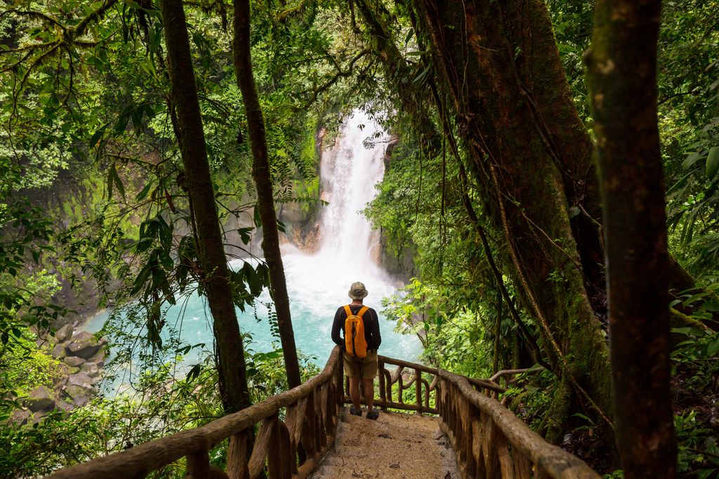 tropical-jungle-costa-rica A man carrying a backpack standing on a stairs and looking at a waterfall in a tropical forest in Costa Rica